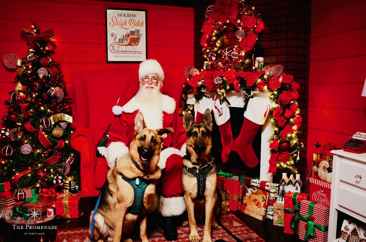 bretmichele's tweet photo. Bret Michaels happy Howlidays from all of our furry family to yours!🎄❤️🎄❤️ #ChristmasEve #ChristmasDay https://t.co/AffrUW5aDu