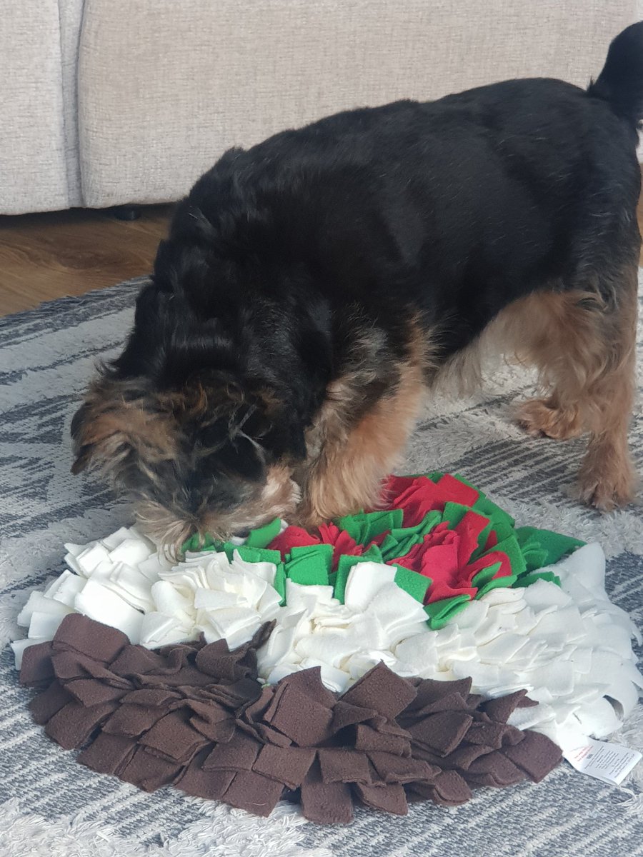 bo_boesbear's tweet image. Here me is learning how to do dis... #SnuffleMat 
@BaxterBorder1  Fanks chew so muchly xx xx
@bemorebob2