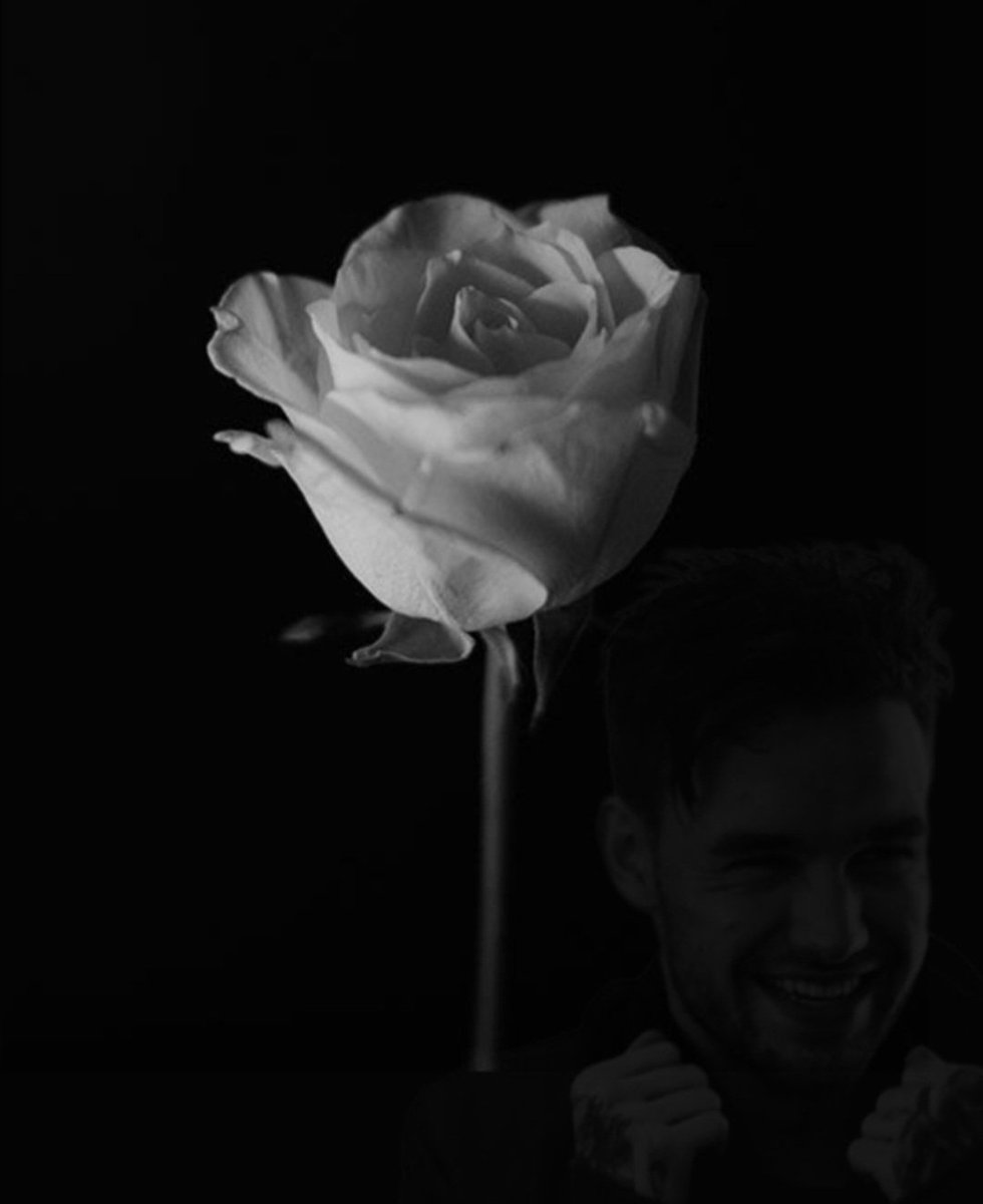 Merry Christmas, Liam. You will always be missed.  🤍