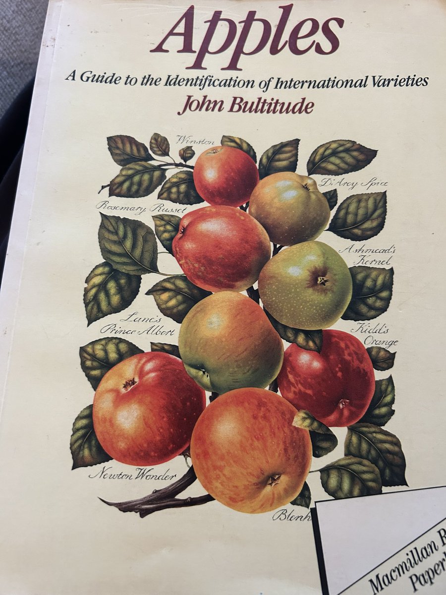 stewart waine tweet media