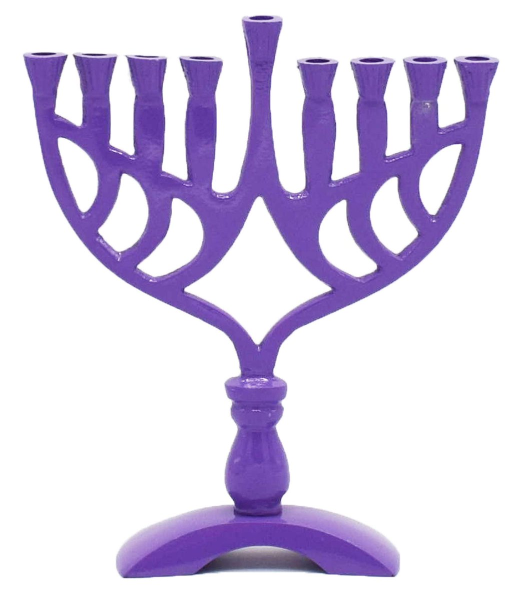 From all of the volunteers at the New Jersey Affiliate, we wish everyone who celebrates a Happy Hannukah tonight!