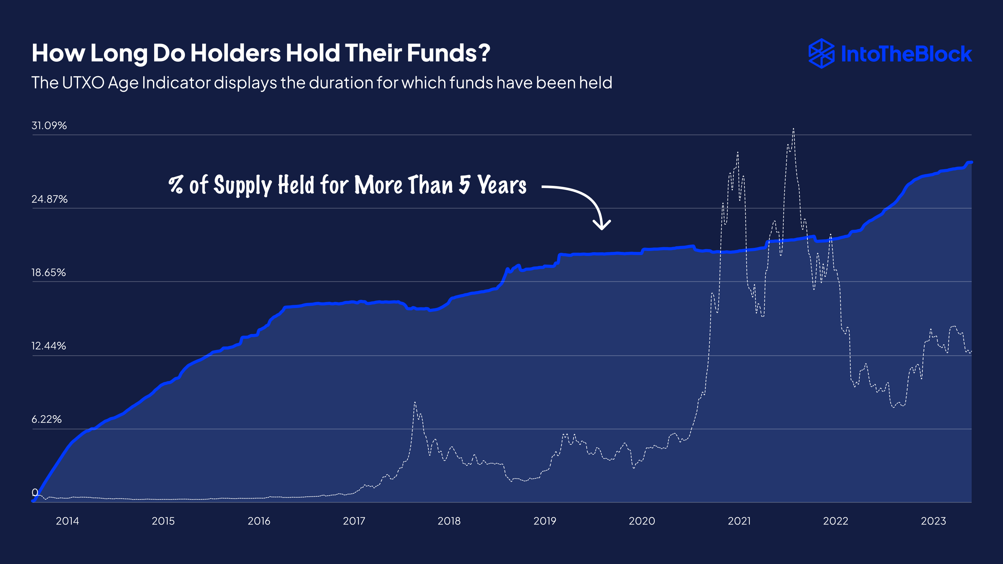 Bitcoin HODLing