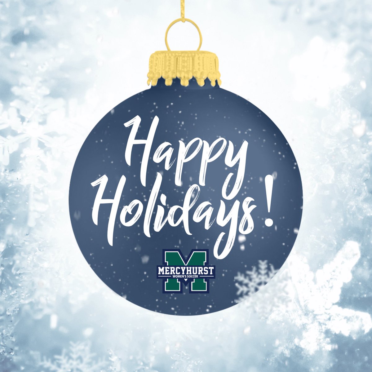 hurstwsoc's tweet image. Wishing you a very happy holiday season from our family to yours! 💚✨

#HurstAthletics | #CarpeD1em ☘️
