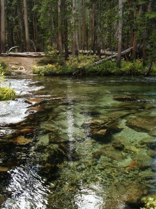 𓍊˖ ࣪⊹ (@goblinc0re) on Twitter photo 