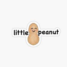 pnut will grow tweet media