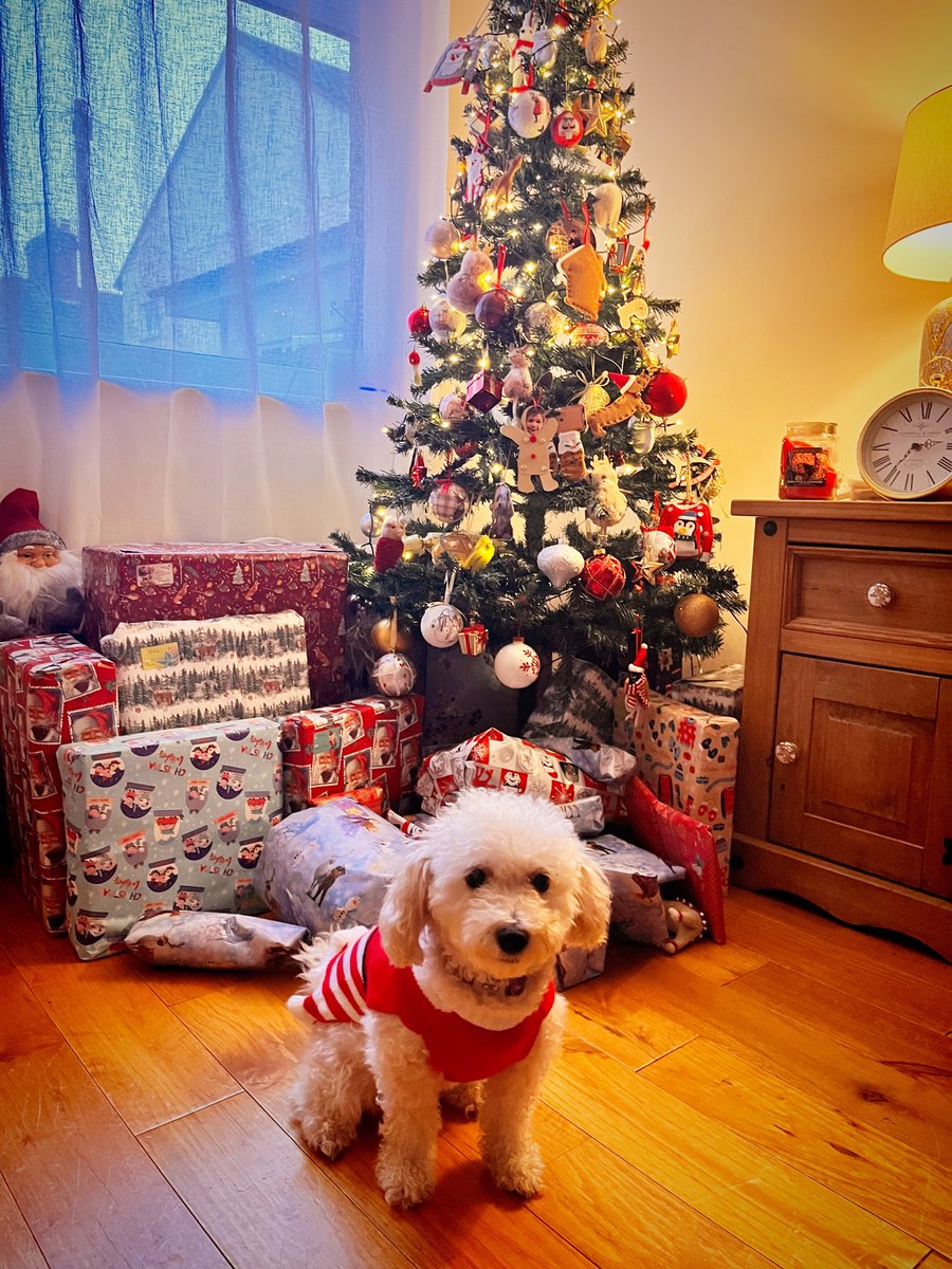 Merry Christmas ✨✨✨

(Florence Audrey’s 6th Christmas)