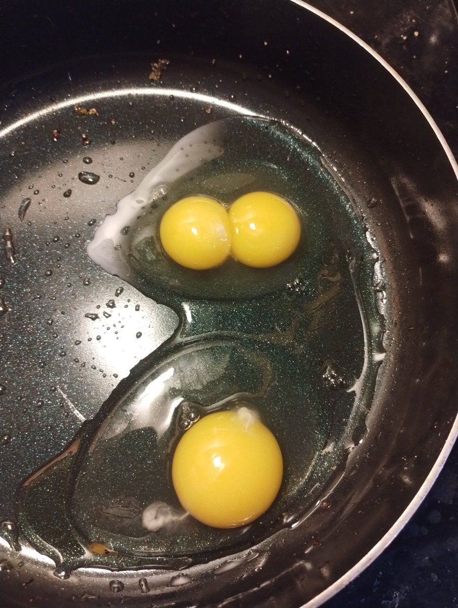 don_freytag's tweet photo. Even my breakfast reminding me Im alone on Christmas morning. https://t.co/YExkf71XBZ
