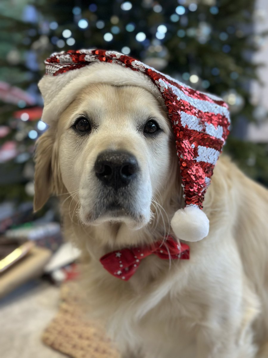 Hells Bells tweet media