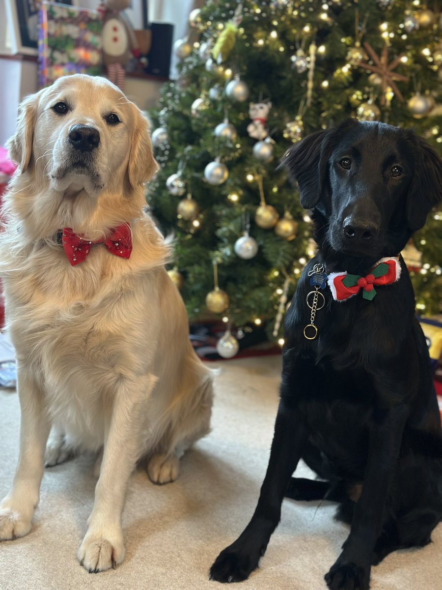 Hells Bells tweet media