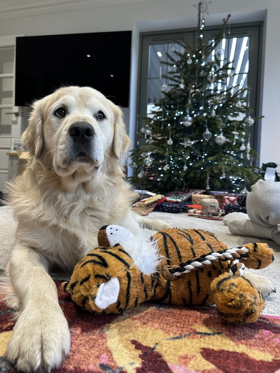 Hells Bells tweet media