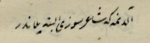 aldanma ki şair sözü elbette yalandır