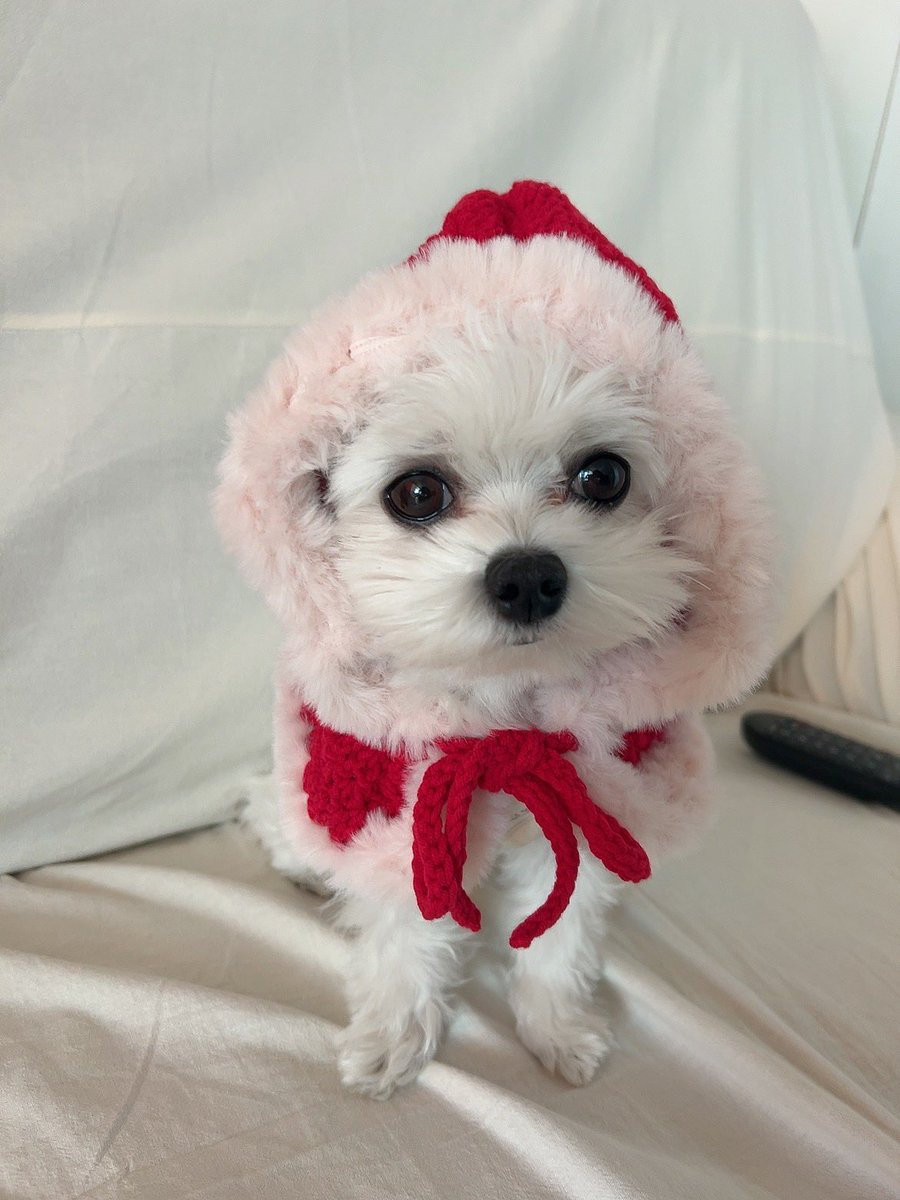 크리수마스
산타
딸기크림
초코콩
인절미
우유
케이크
의 요정 두나