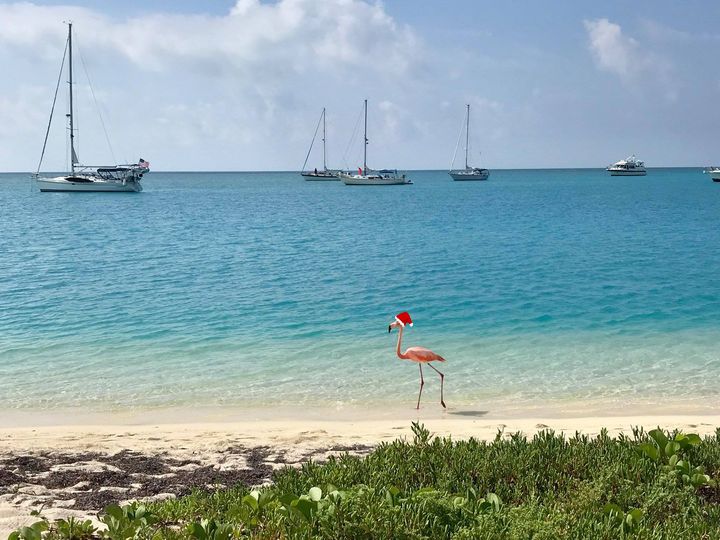 Sending the warmest seas-ons 🌊greetings to you and yours from all of us here at Dry Tortugas National Park. 🎄💗

NPS photo by M. Wydysh 

#DryTortugas #DryTortugasNationalPark #SeasonsGreetings #HappyHolidays