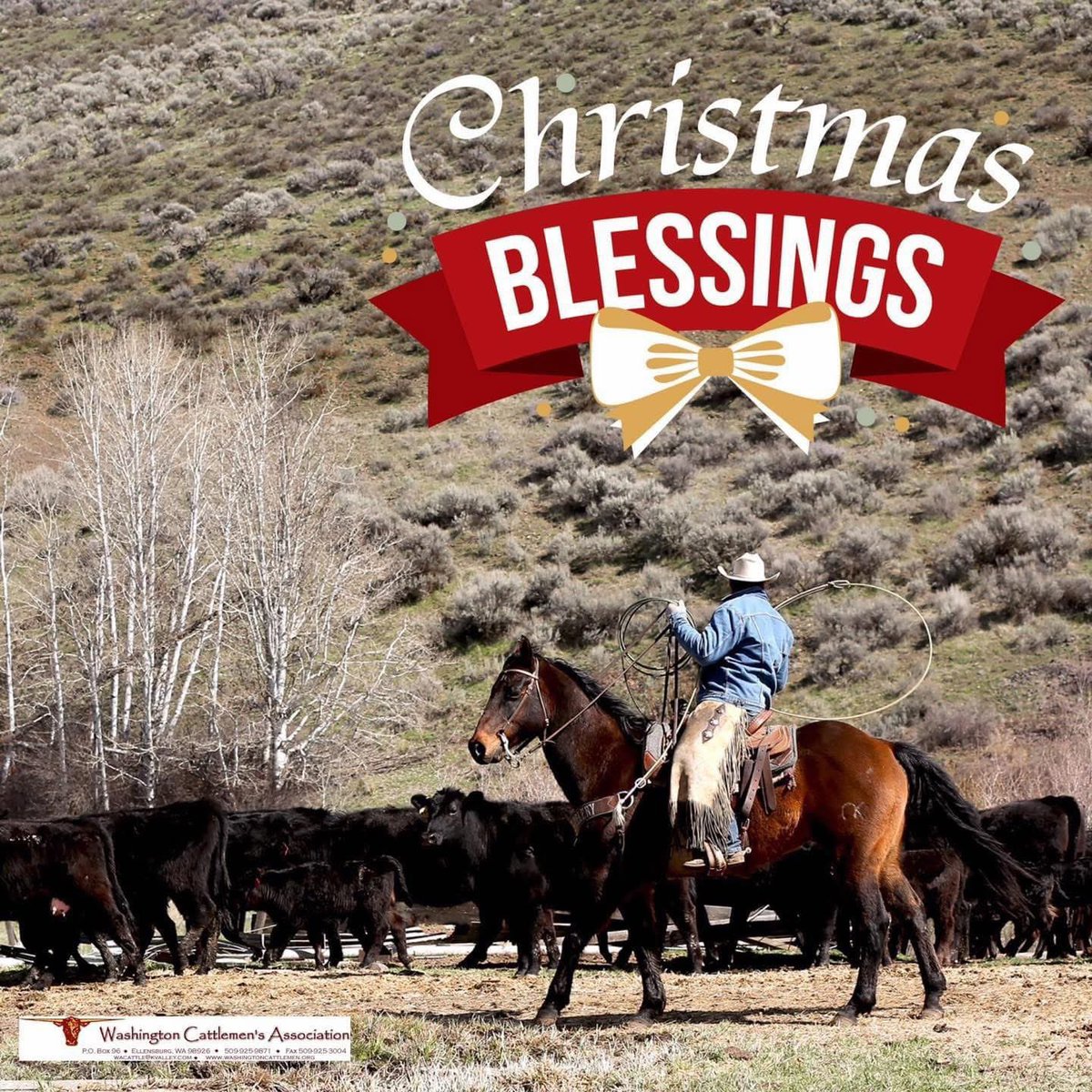 Washington Cattlemen tweet media