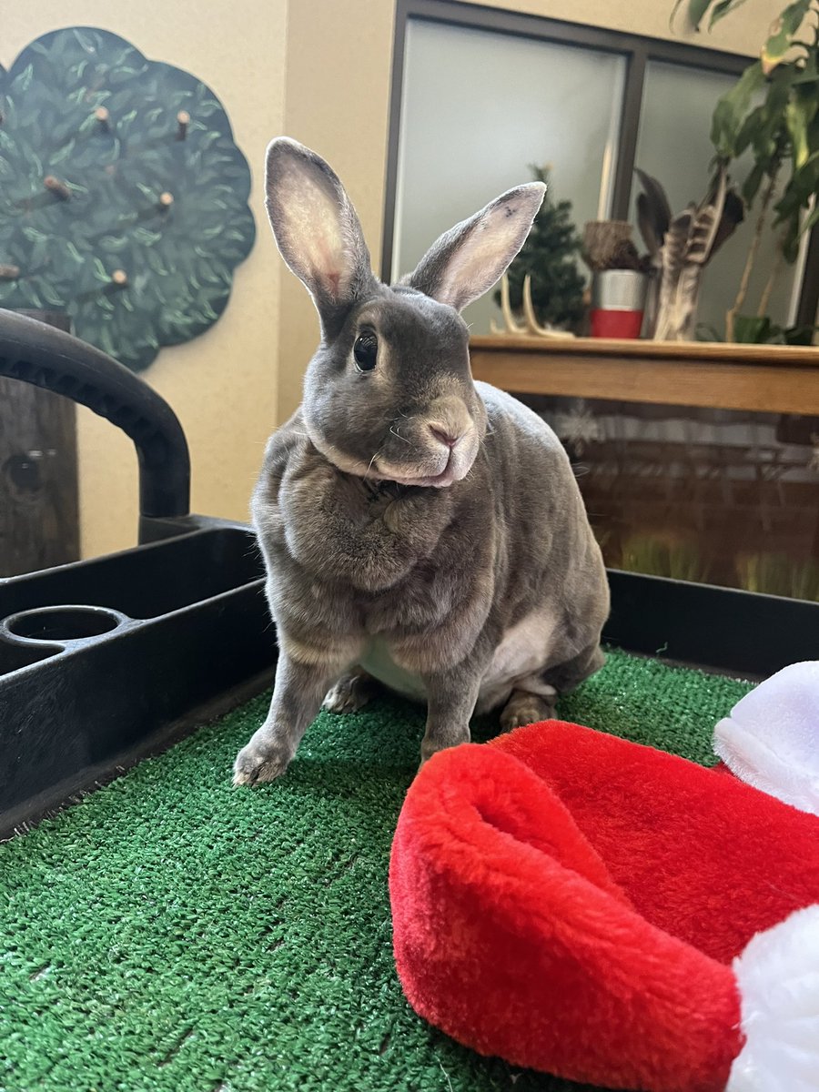 Lake Erie Nature & Science Center tweet media