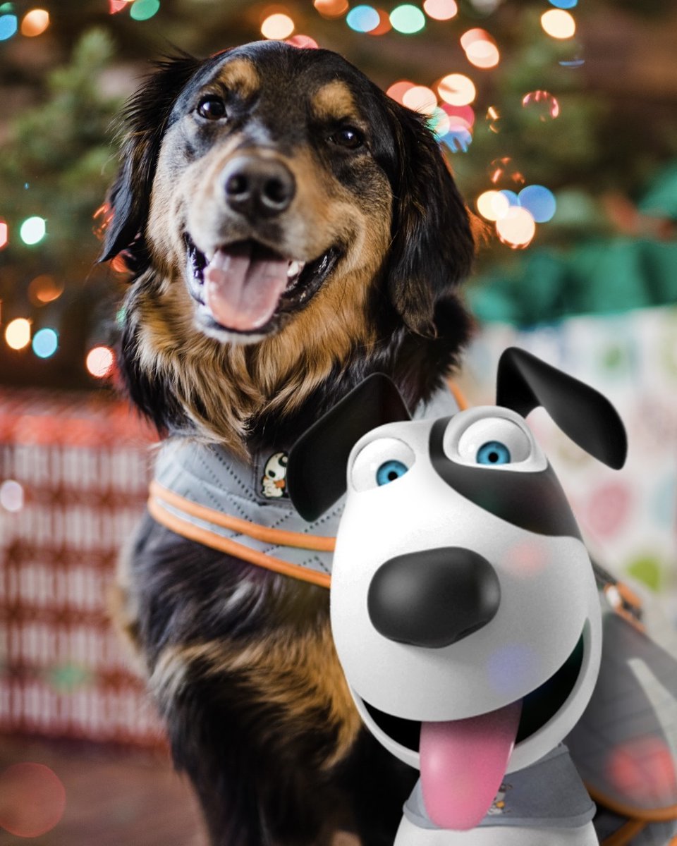 Merry Christmas and Happy Holidays to all of our ThunderShirt family 🎄