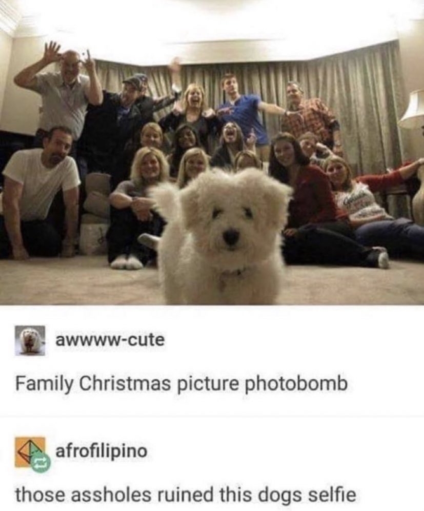 Sir Doge of the Coin ⚔️ tweet media