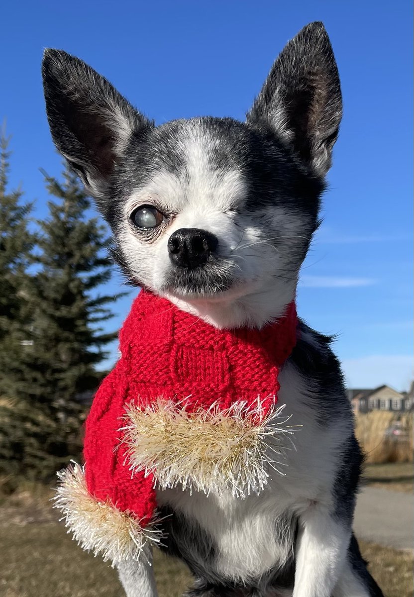 Christmas Isn’t About Candy Canes, Holly Or Lights All Aglow, It’s About The Hearts That We Touch And The Care That We Show.

Merry Christmas To All 🎁