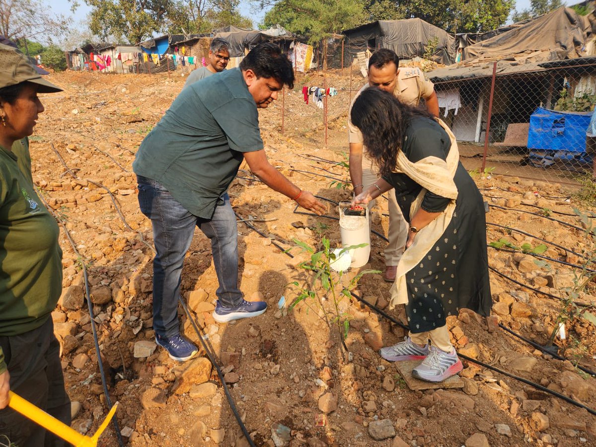 forrest_india's tweet image. A volunteering event was organized on 20th of Dec 2024, where our project partners, Forest department and Volunteers from Amazon joined us on a forestry drive at Malad, Sanjay Gandhi National Park (SGNP), Mumbai.

#FORREST #awsincommunities #mumbai #sgnp #forest  #conservation