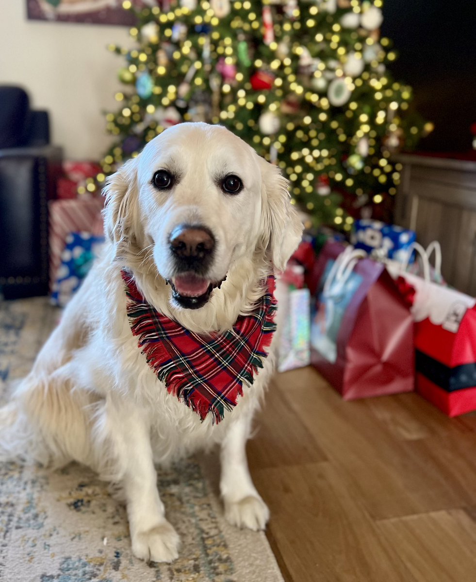 Chris Roush (@chrisroushnc) on Twitter photo 