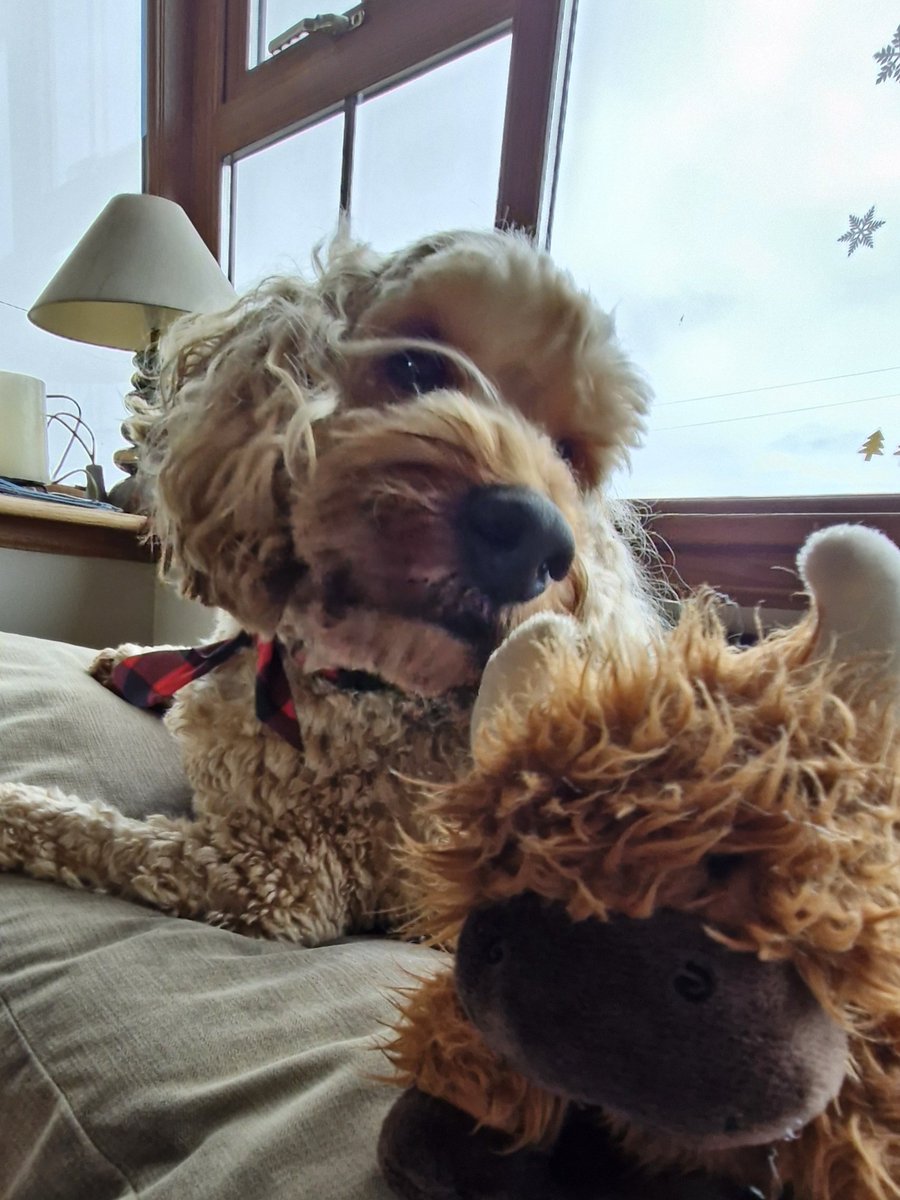 Robert Ludgate tweet media