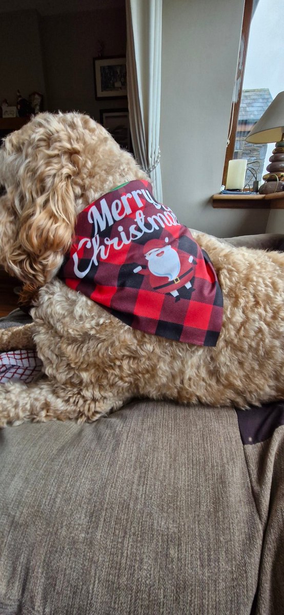 Robert Ludgate tweet media