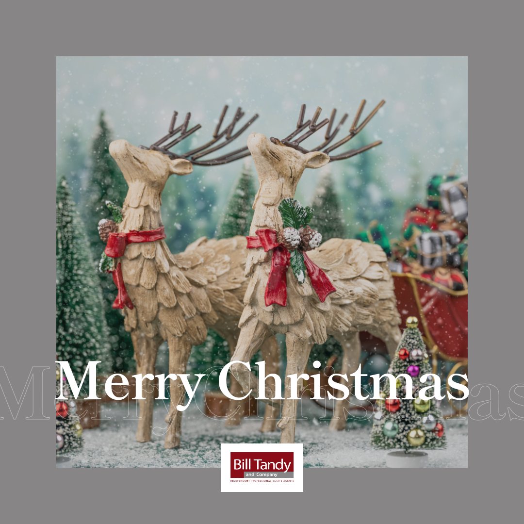 As we reflect on an incredible year, we thank everyone who trusted us with their property journey. Whether you’ve found your dream home or are still searching, we’re grateful to be part of your story.

We’re here to make your property dreams come true: billtandy.co.uk