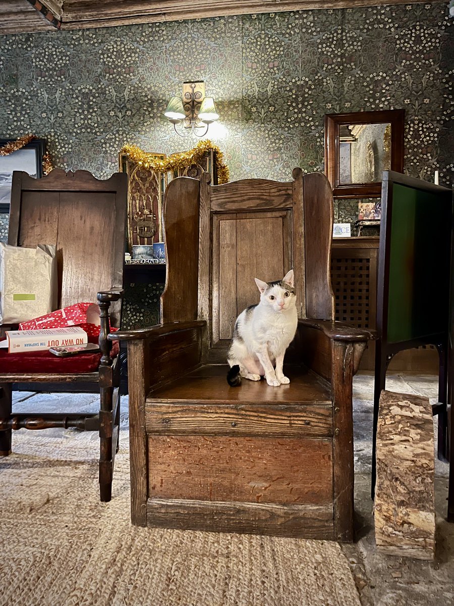 Barendina Smedley tweet media