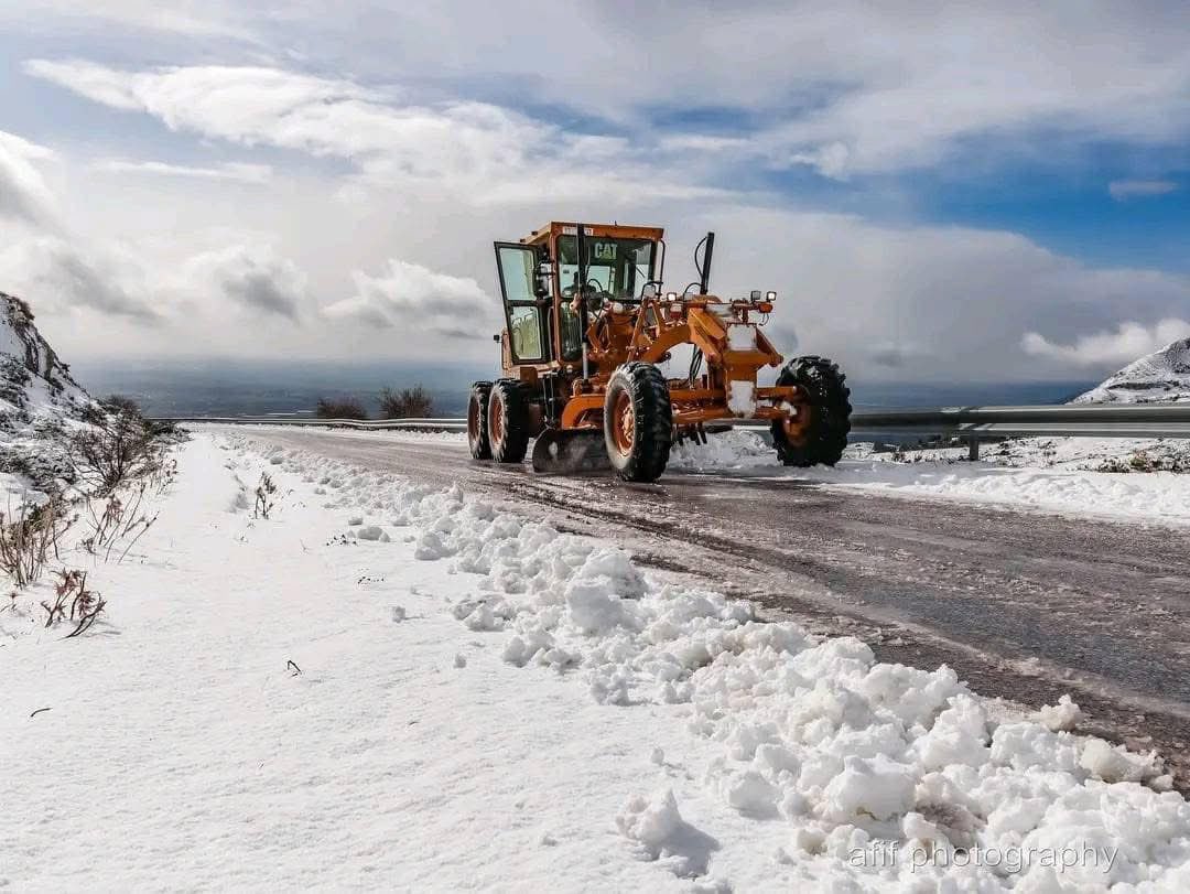 🇹🇳❄️Parc National d’El Feija, (Jendouba).