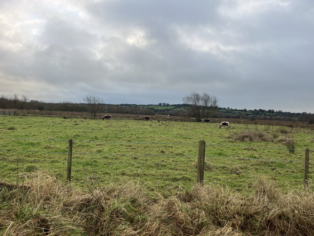 Anne Smith tweet media