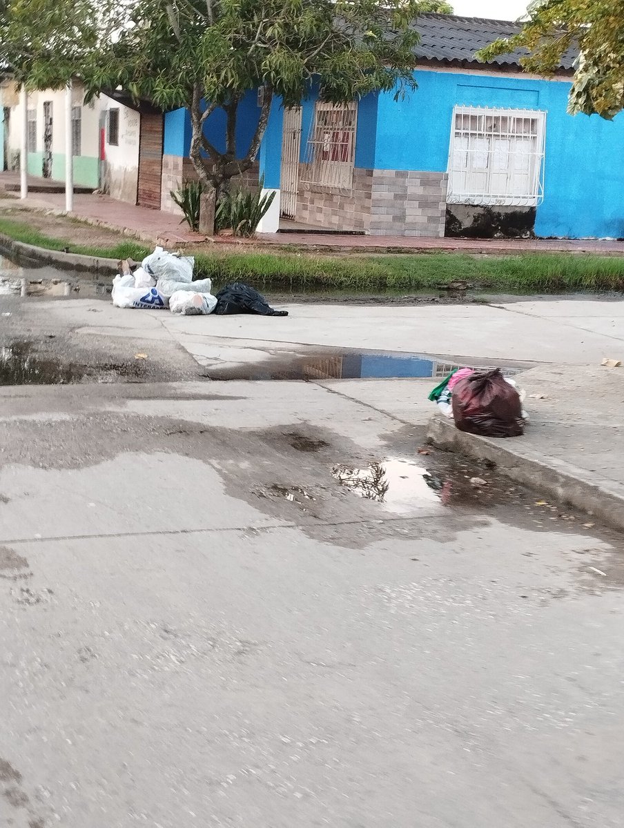 JDOspino's tweet photo. Felíz navidad le desea #InterAseo A Suan, Atlántico. Los demás sectores que reporten el regalo de esta empresa que no tiene supervisor a pesar que recibe subsidios de saneamiento básico. 👻👀🤡 6:25 AM del día de hoy siendo el día de recolección el 24/12/24 https://t.co/hvo8odl88x