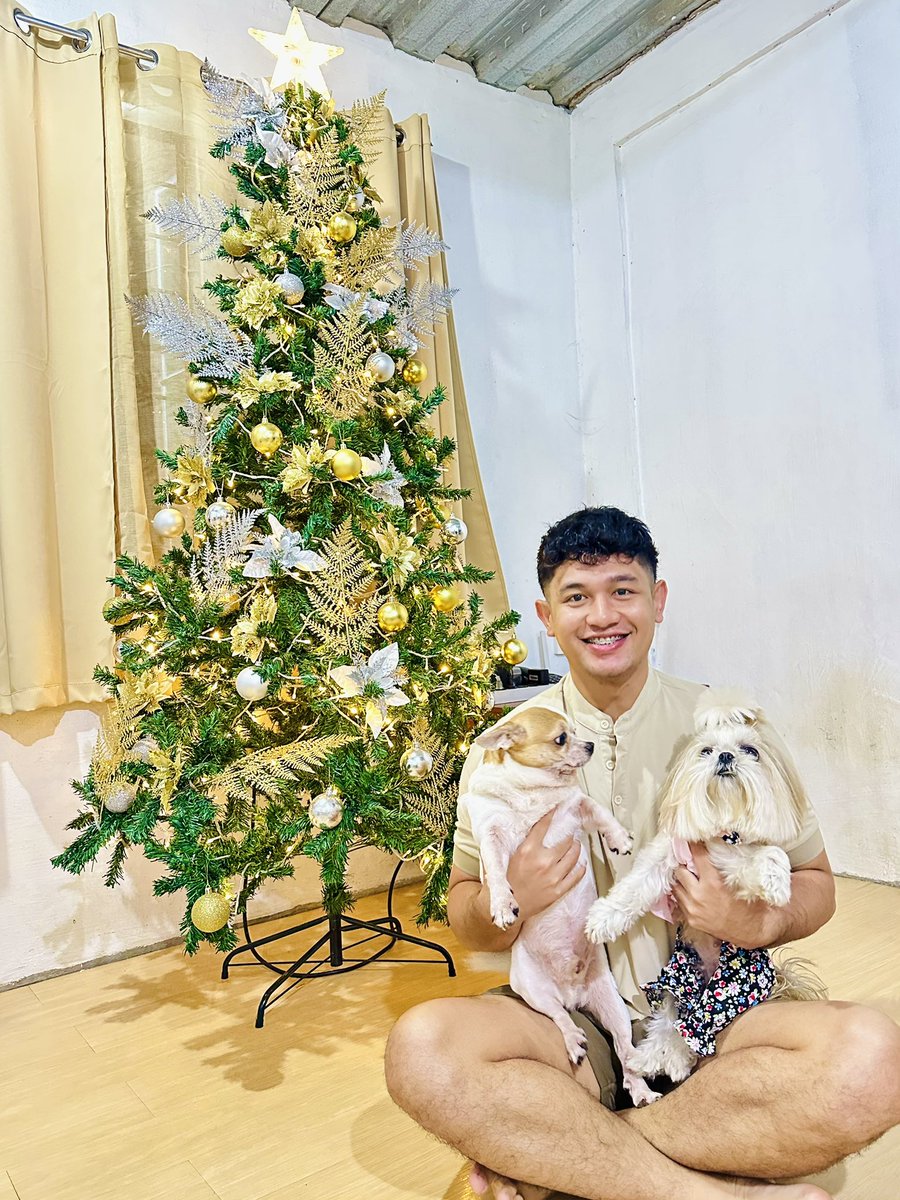 GABTOBES's tweet photo. Merry Christmas 🎄🐶 https://t.co/uc4S5z1NSU