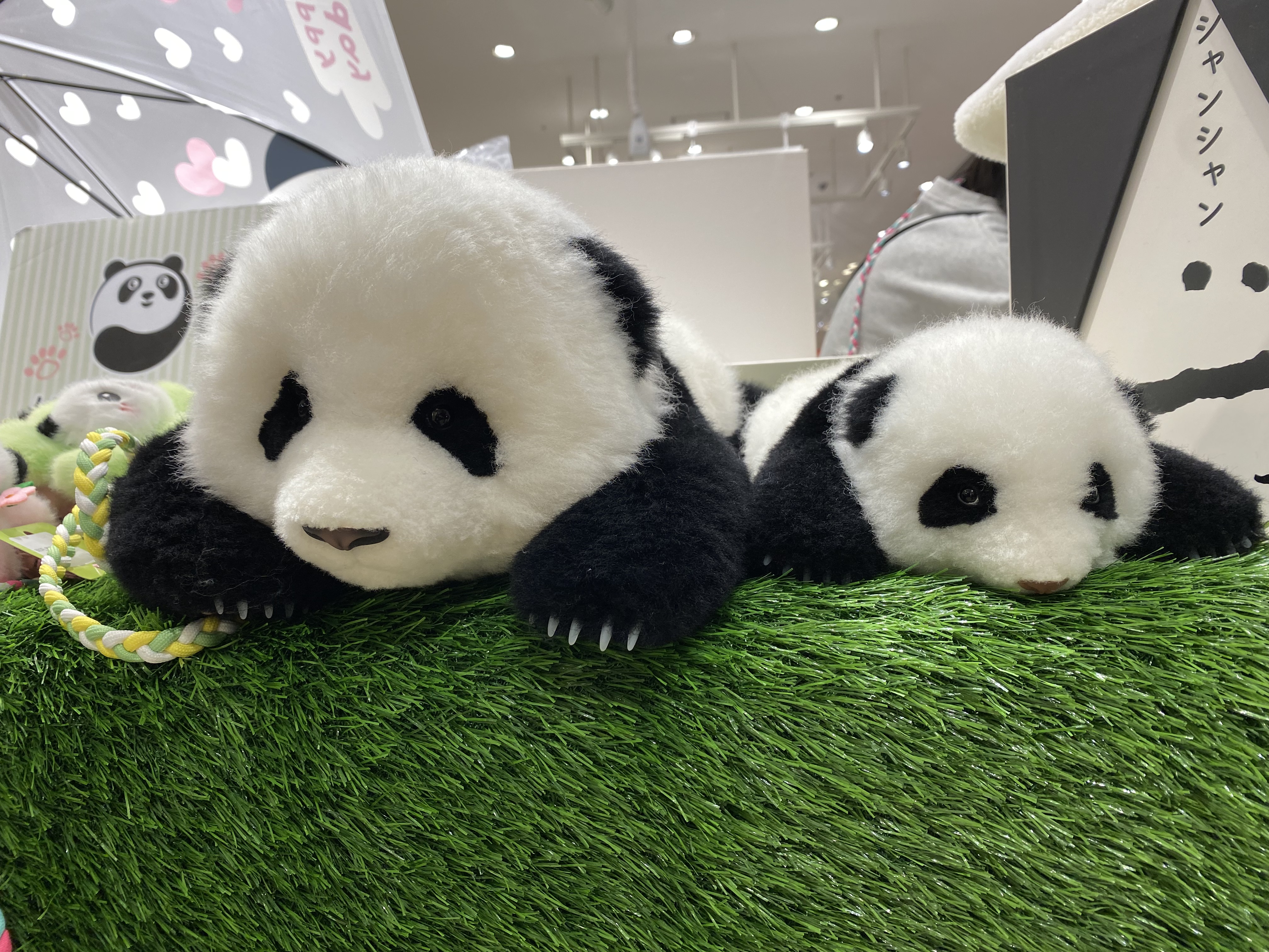 Amazon.co.jp: 完売品上野動物園 箱入りシャンシャンぬいぐるみ