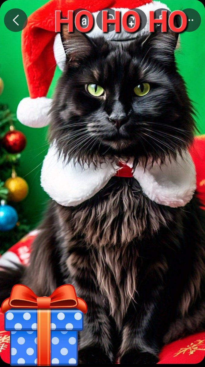 tuxsd's tweet photo. @StrayLiotta @PurrVida hanzo,tux,Jerry &amp;blue wish everyone a happy and safe Christmas https://t.co/SJ0EExcJHp