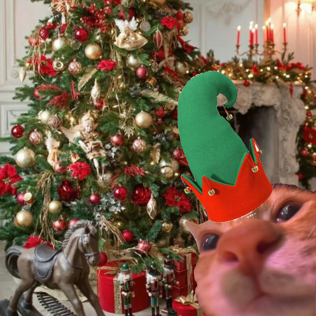 AwooCatCoin's tweet photo. Gm, Merry Christmas!! $Awoo https://t.co/rphgiQZGX1