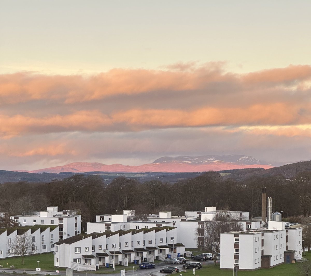 Wishing everyone a Happy Christmas - especially all my co-workers.