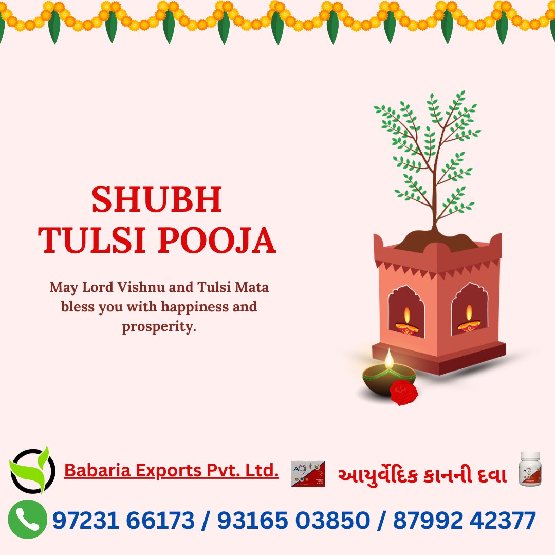 BabariaExports's tweet photo. Shubh Tulsi Pooja🪔🙏
From: Babaria Exports Pvt. Ltd.
Available on Amazon, YouTube & all social media Platforms...
Cash On Delivery is Available only on the Website and Amazon...
Website: https://t.co/jhHv9BHAcx
Amazon: https://t.co/IBhXxHJePb
Contact Us: +91-97231 66173
#auji #aujikarna #aujikarnaearmedicine #babaria #babariaexports #babariaexportspvtltd #EARCARE #EarCareTips #earpain #earpainrelief #hearingloss #medicine #earmedicine #Tinnitus #tinnitustreatment #tinnitusmedicine #tinnitushelp #TinnitusRelief #tinnitusproblem #tinnituslife #ayurveda #ayurvedic #ayurvedicmedicine #ayurvedicdoctor #ayurvedictreatment #ayurvedicearmedicine #ayurvedicproducts #ayurvediclifestyle