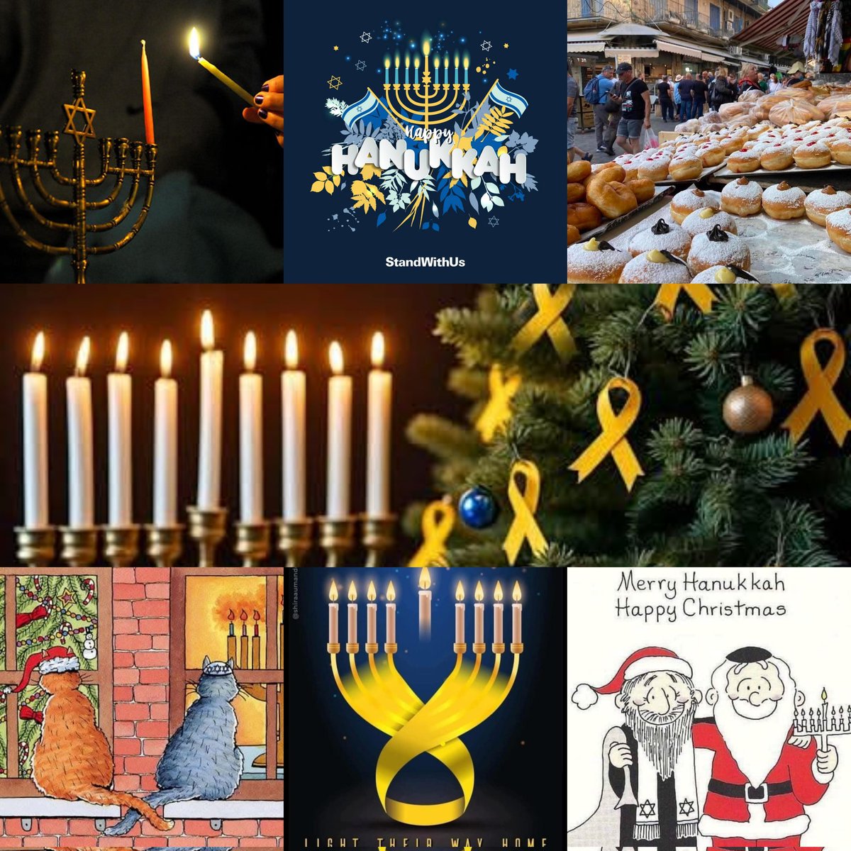 Anton de Ruiter tweet media