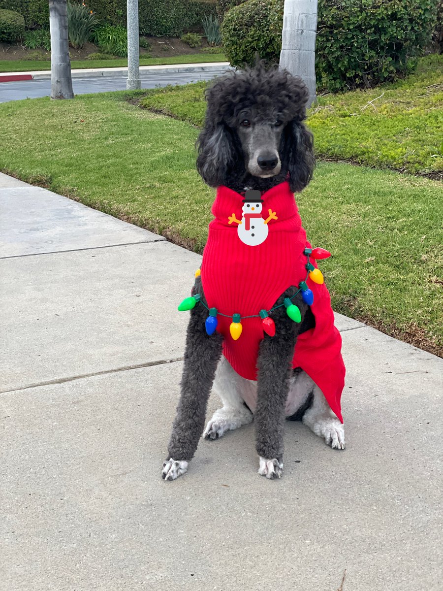 Merry Christmas 🎄 from my girl ❤️