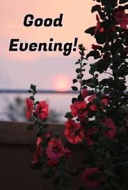 Chaudhary🖤 tweet media