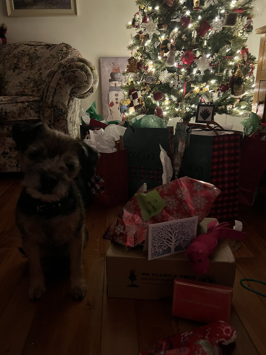 GracieClaire59's tweet photo. Thank you Secret Santa! I love my gifts! The treats are the best and I live my toy! Mommy says thank you from her chocolates! She wonβt share and will enjoy with a cup of tea! #BTPosse #BTPWorldSanta #BTWorldSanta https://t.co/zaMOZaj8H8