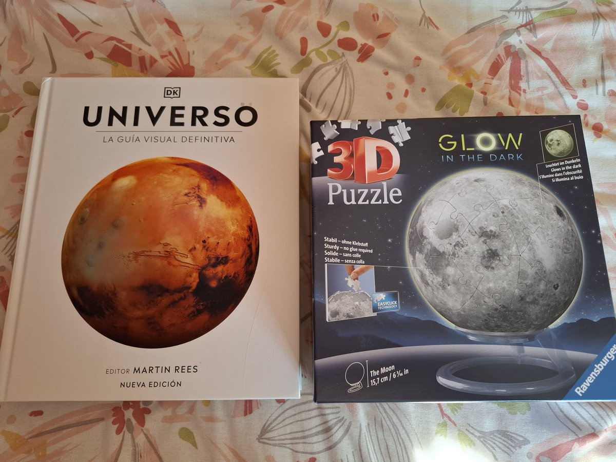 Bego ☄ tweet media