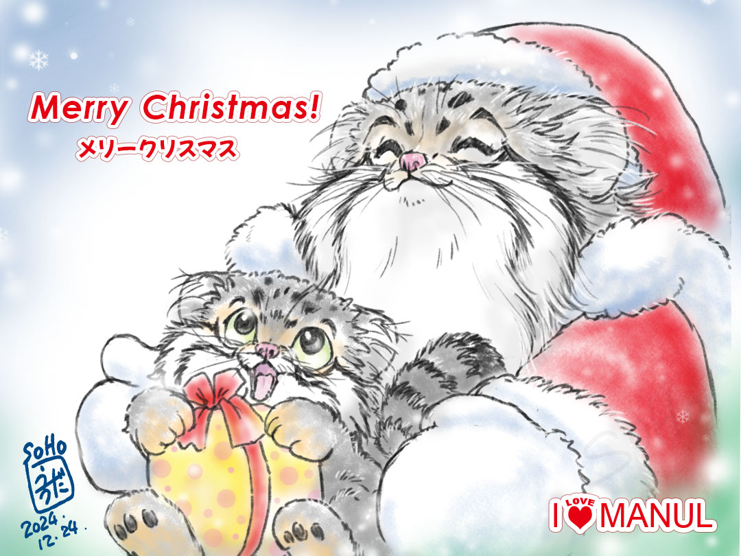 SohoUchida's tweet photo. メリークリスマス🎄世界中のマヌルネコが幸せになりますように😊
#マヌルネコ #manul #Otocolobusmanul #pallascat #Манул #wildcats #猫イラスト #Grumpycat #cat #兔狲 #マヌルネコイラスト #manuli #クリスマス #xmas2024 https://t.co/VvA46o3w8c