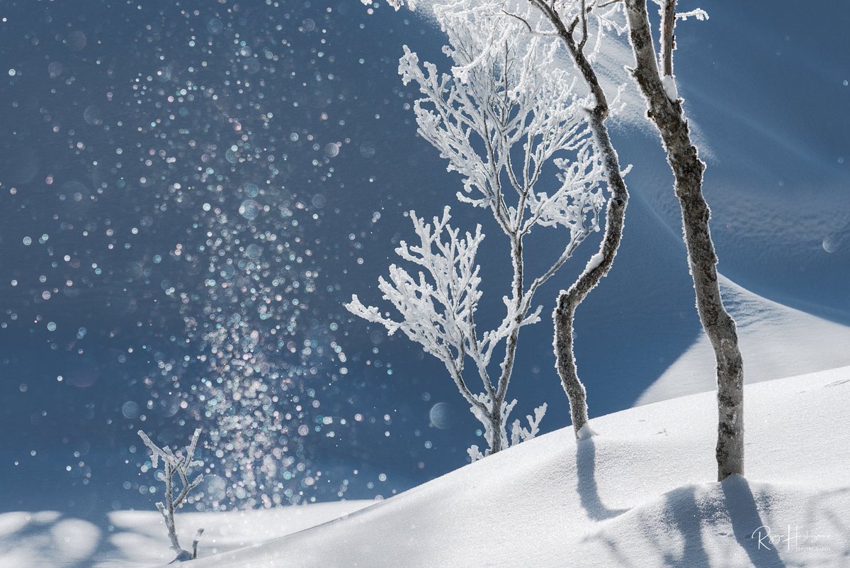 hasshii037's tweet image. #2024年自分が選ぶ今年の4枚

どれにするか迷った、、、
出撃回数少なかったけどそれなりに良い条件で撮れてた◎