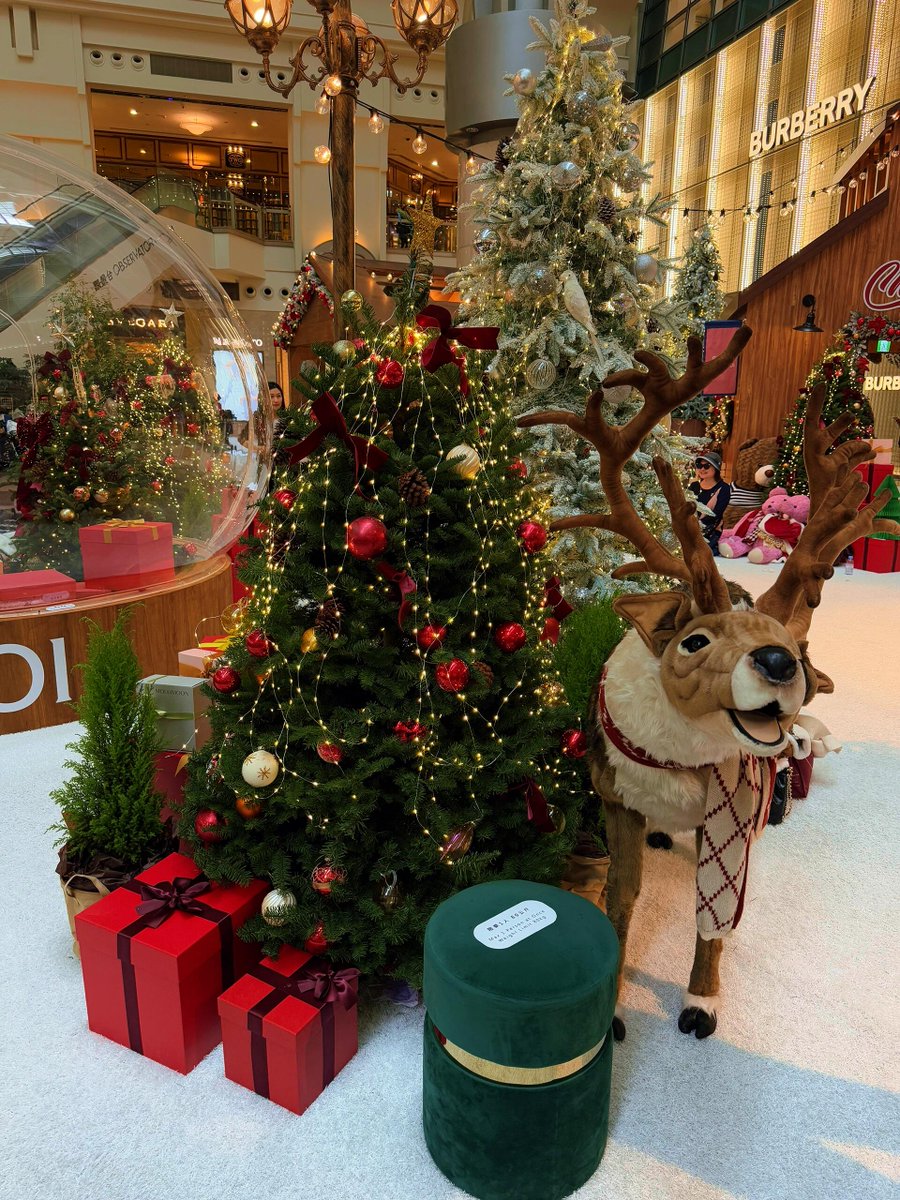 Merry Christmas! I bought myself a small gift and wish myself to always stay passionate and energetic.