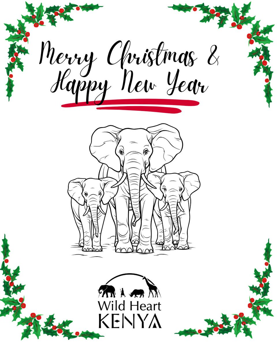 Wishing all our supporters, followers, and well wishers a very Merry Christmas and Happy New year!

We are grateful for your patronage and look forward to a more successful year.