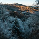 Photo by Forestry England (@ForestryEngland)