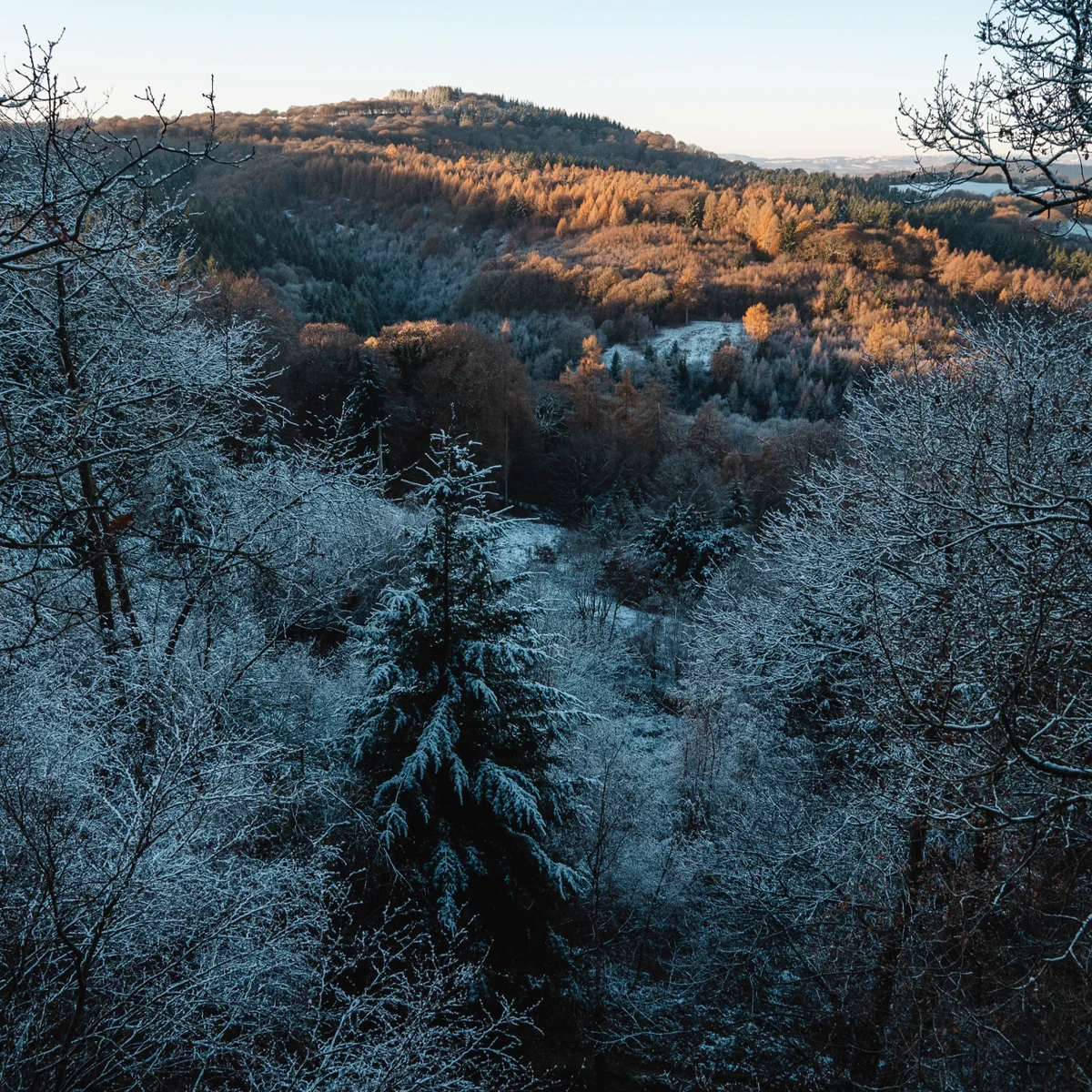 Winter landscape showing frost-covered trees with a hint of sunlight over a hilly area.