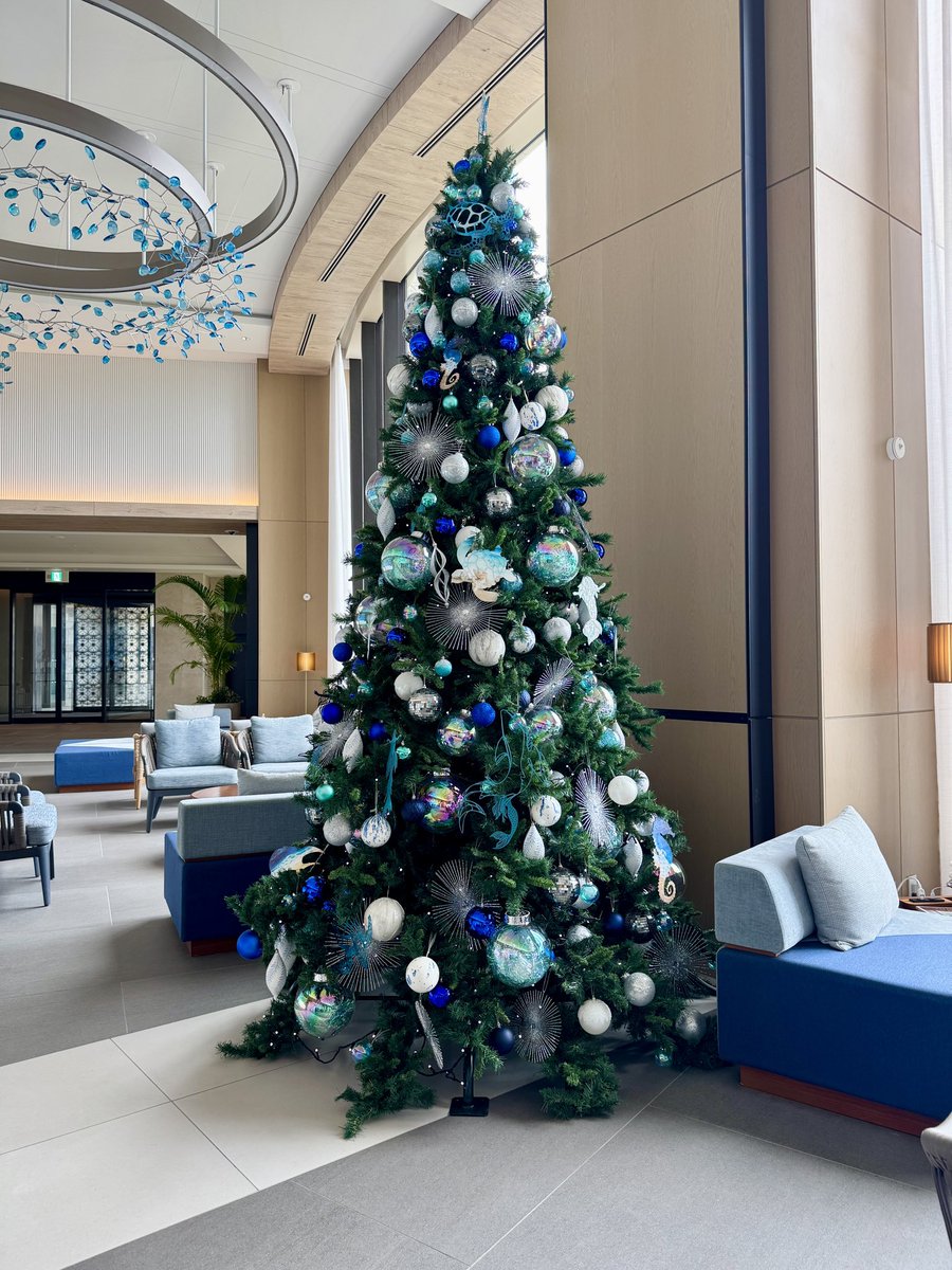 aqua0331's tweet photo. Merry Christmas🎄✨
今年見た華やかなクリスマスツリー🎄✨😊

#クリスマス https://t.co/W6fqN0Gqvq