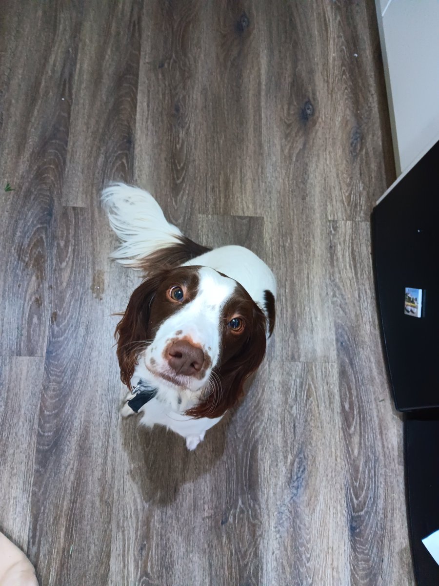 RealFUG's tweet image. Credit where it's due, he man marked me all through the lamb prep and didn't give me an inch while making the salmon. He's put in a performance on the day and got results.